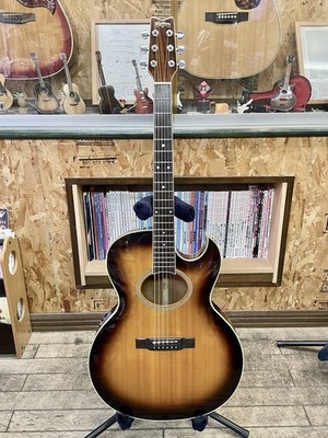 Washburn Ea-20 Safe delivery from Japan