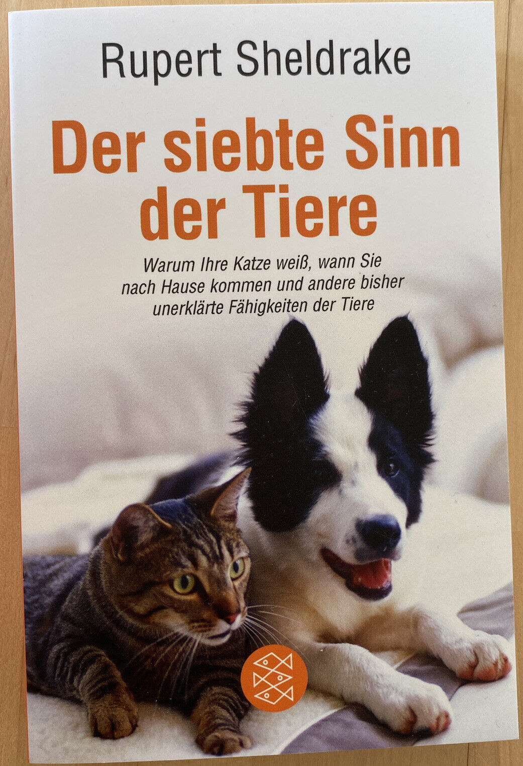 Der siebte Sinn der Tiere von Rupert Sheldrake (2007, Taschenbuch)