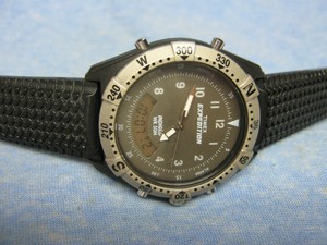 timex expedition diver