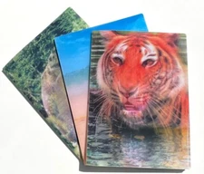 Kittrich Predators 3D Motion Heavy Duty Durable Poly Portfolio Folders Animals