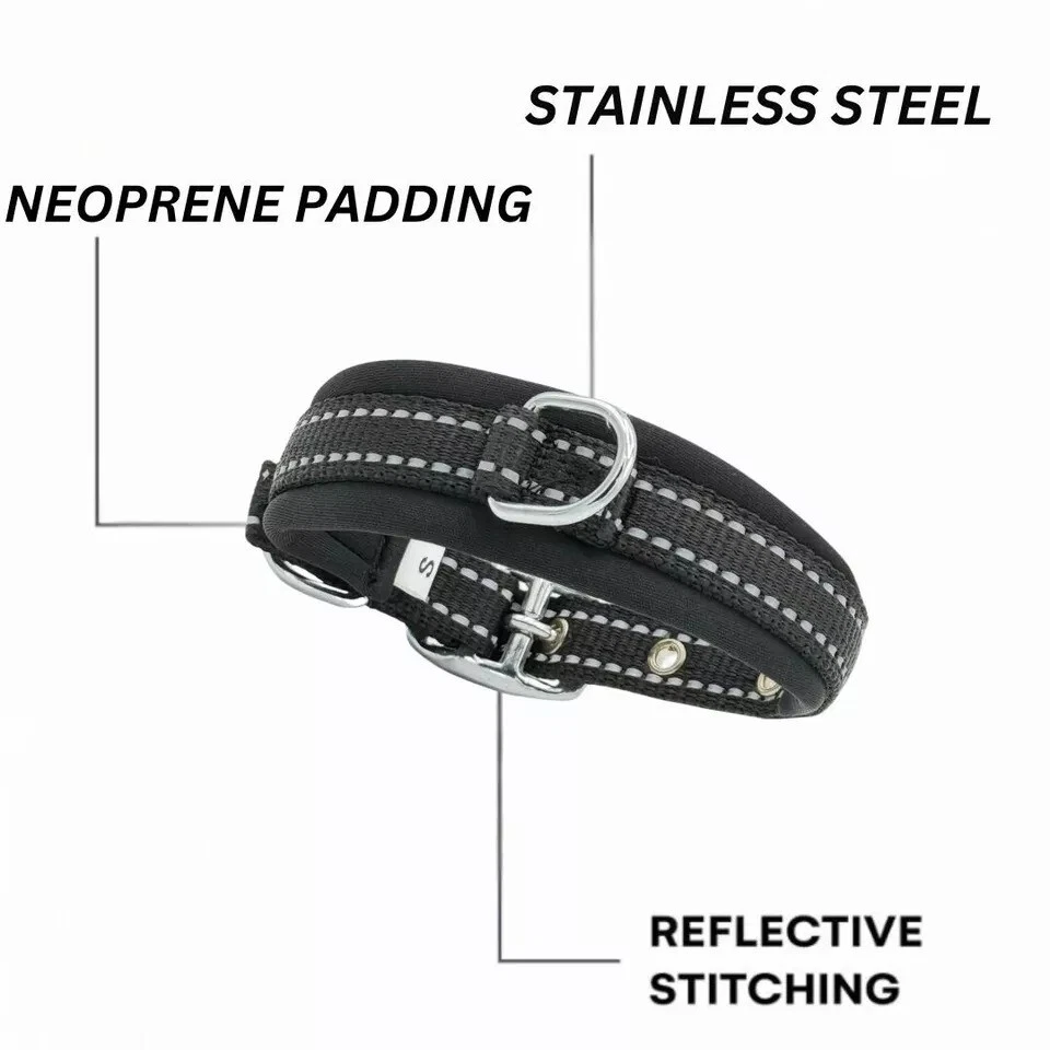 NYLON DOG COLLAR SOFT PADDED ALL BREED COLLAR ADJUSTABLE & STURDY WHIPPET STAFFY - Image 4 of 4