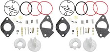 Carburetor Repair Kits for Overhaul Carbs 698787 699900 699521 792369 790032 2P