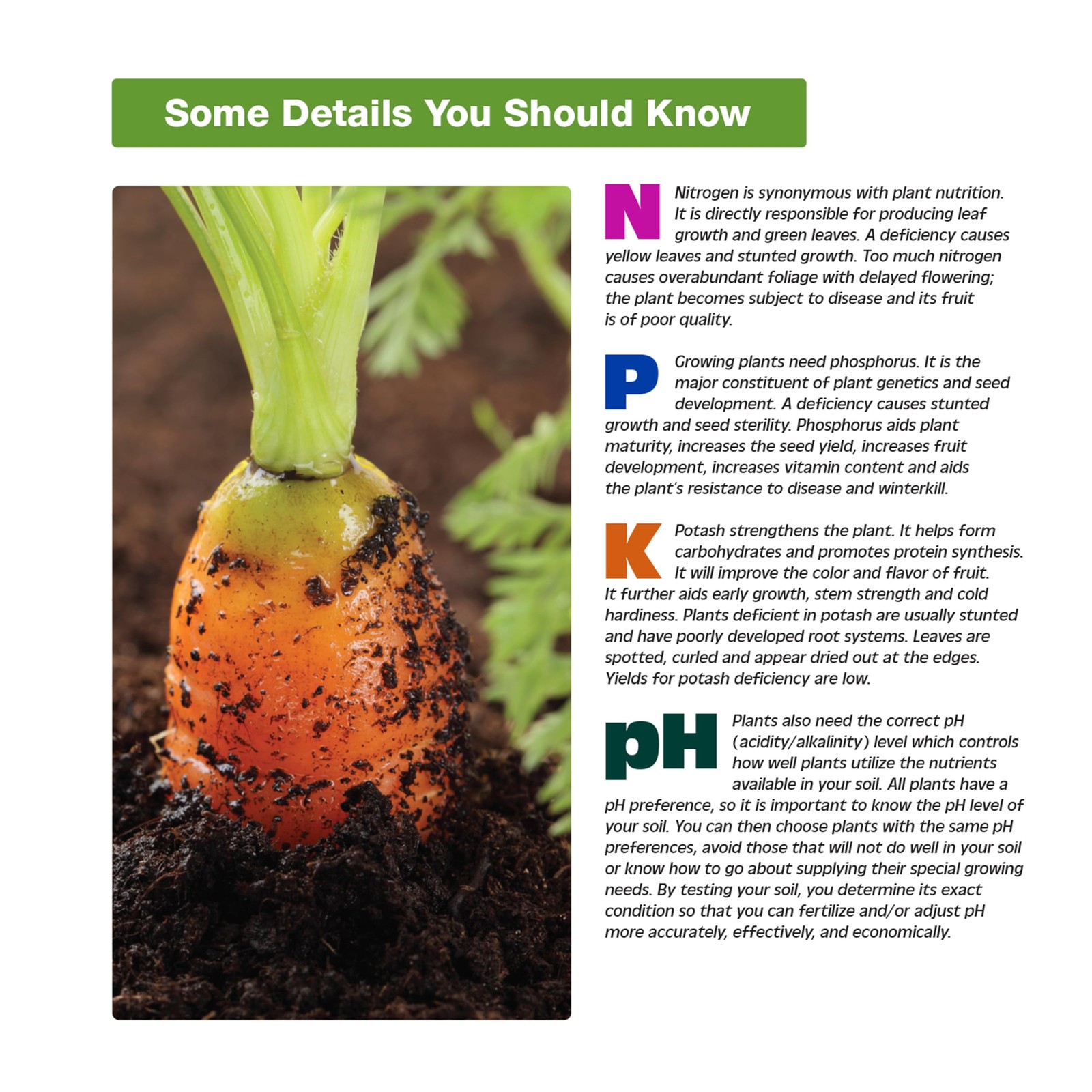 Rapitest Soil Test Kit For Gardens, Vegetables, Flowers And Lawns. Usa