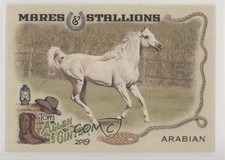 2019 Topps Allen & Ginter Mares and Stallions Arabian Horse #MS-1 0j5