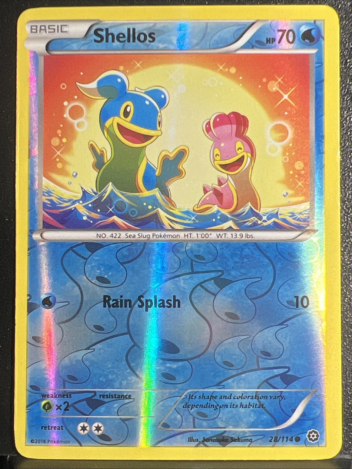 Reverse Holo Shellos 28/114 Common XY - Steam Siege Pokemon TCG