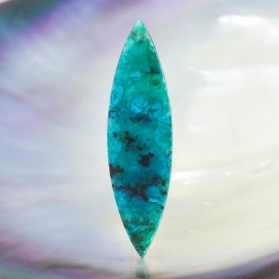 RARE Vibrant Gem Silica Chrysocolla Bacan Island Gemstone Cabochon 2.25 g