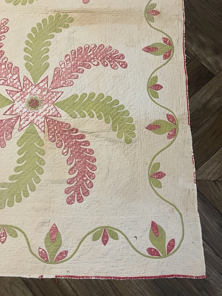 Antique 1800s Cotton Applique Princess Feather Quilt 81x82 Rose Bud Border - Image 4 of 4