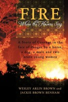 Wesley Arlin Brown (U. A.) | Fire | Taschenbuch | Englisch (2011) | AuthorHouse