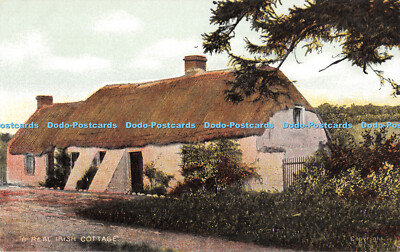 R400266 A Real Irish Cottage Chas L Reis