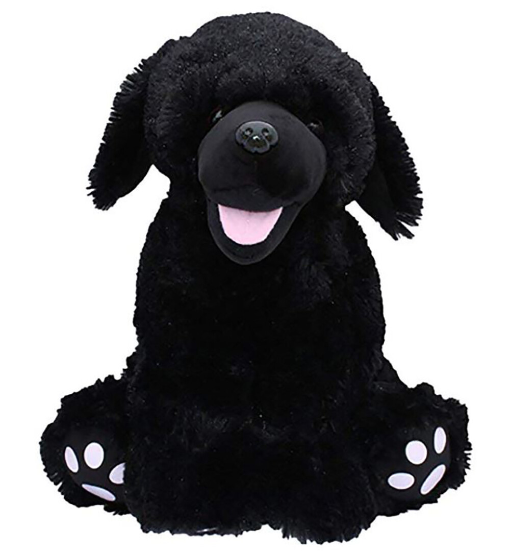 black lab teddy