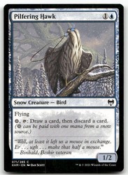 Pilfering Hawk 71/285 Kaldheim Common MTG