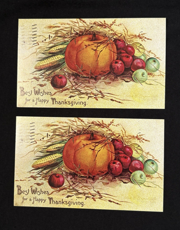 Lot 2 Thanksgiving Postcards Ellen Clapsaddle Pumpkin Apples Evergreen Press