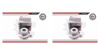 Esen SKV 2X Radnabe Radlagersatz Hinten FüR Mazda Premacy 323 F VI CP BJ GH GG