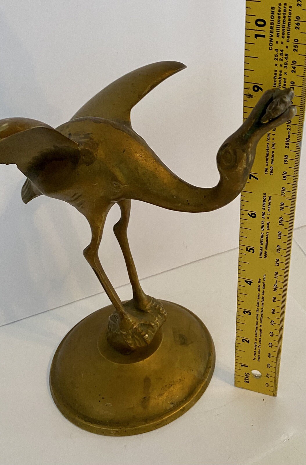 Picture 6 of 12