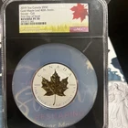 Canada 2019 3 Oz Silver $50 Reverse Proof Gilt Coin NGC PF70 First Day 40th Ann.