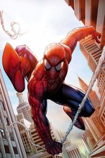 Spider Man Comic Adventure Danger Superhero Wall Art Home Decor - POSTER 20x30