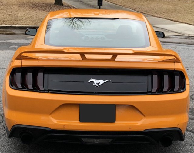1821 Mustang tinted smoked precut vinyl overlay Taillight full REAR