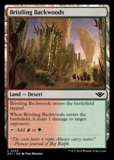 MTG Outlaws of Thunder Junction L Bristling Backwoods #0253 PLAYSET 4X X4