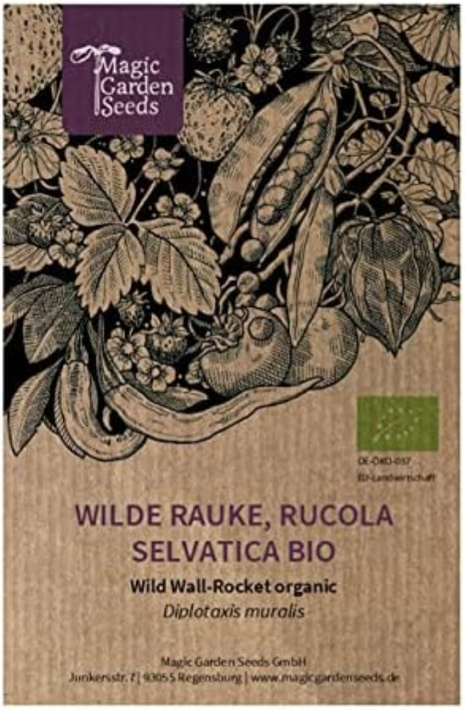 Rucola selvatica (Diplotaxis muralis) biologica - circa 1200 semi