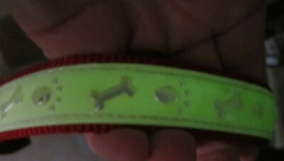 dog collar red glow in the dark trim HAMILTON 16 bones paws small neck night