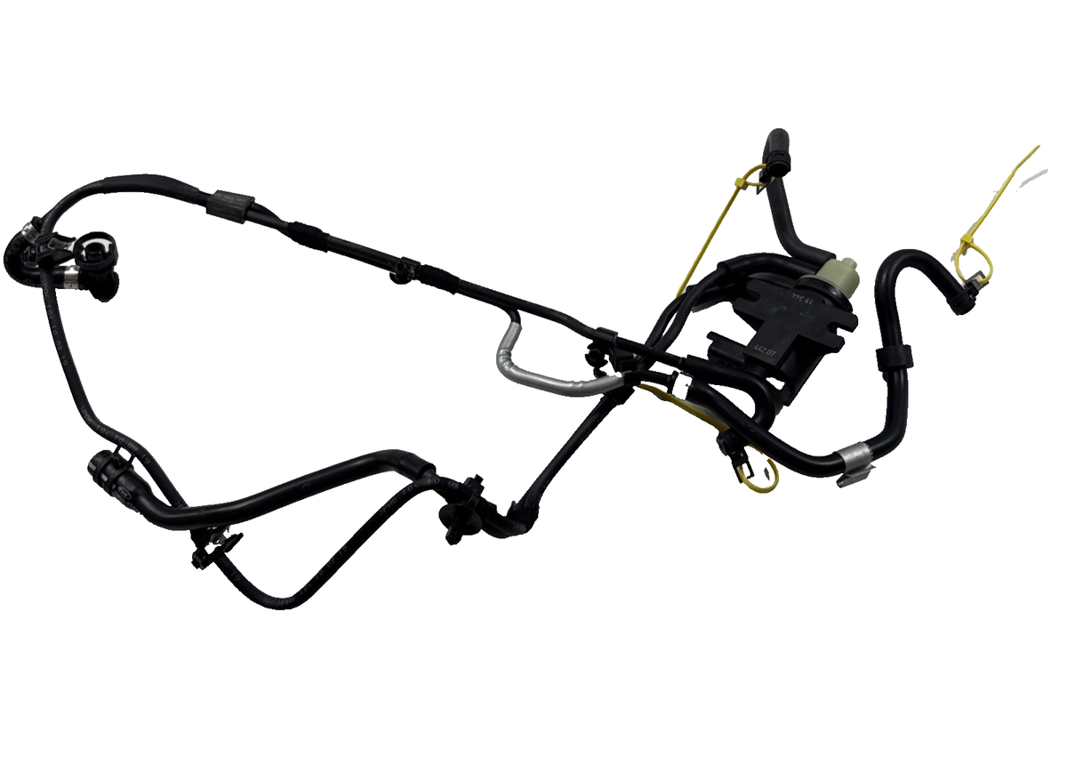 ONE N' ONLY Fiesta　×４ hq720.jpg?sqp=-