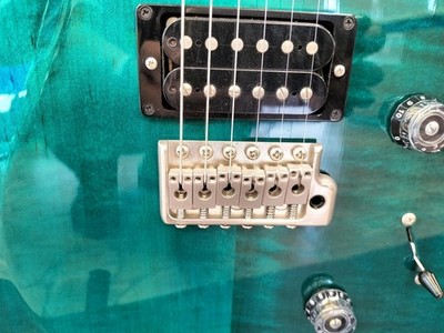 Paul Reed Smith(PRS) Custom 24 2015年製 Paul Reed Smith PRS Custom 24 Stevensville S2 USA 2015 Solid