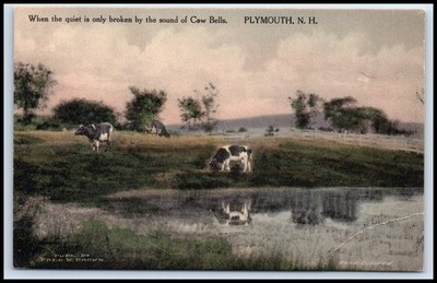 Postcard When the quiet is only broken by the sound of Cow Bells. PLYMOU  NH Z83