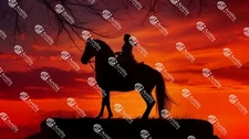 Photo Digital Product image Wallpaper Picture Background for a print sunset art