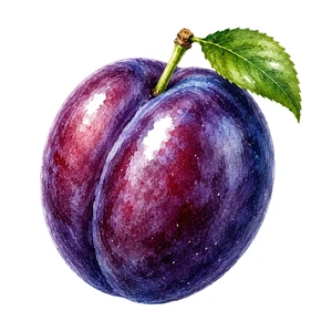 Plum Fruit Food Self Adhesive Vinyl Sticker