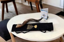 Amazing Kudu Yemenite SHOFAR Horn Kosher Full Natural From Israel 42-44 Judaica
