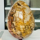 Bild 7 von 12