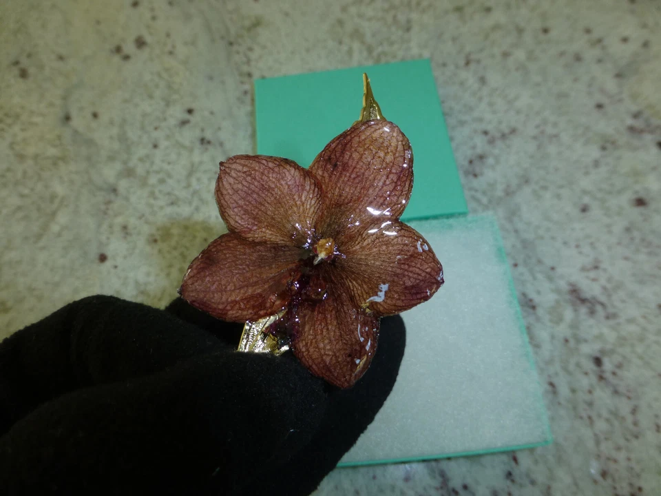 Phalaenopsis Real Phal Orchid Preserved Flower 14K Gold Plated Hair Clip - Image 3 of 4