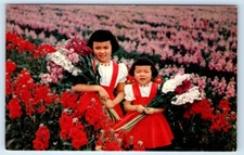 Children in an Arizona Flower Field Postcard