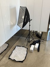 MOVING SALE Raleno Fluorescent Video/Photography Lights