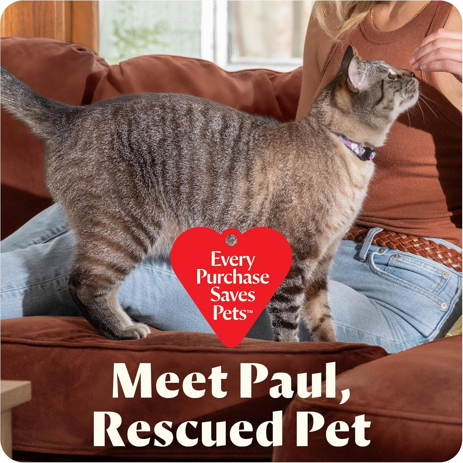 BISSELL Little Green Mini Portable Carpet and Upholstery Deep Cleaner, Car/Auto