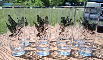 8 Pilsner Glasses Canada Goose, Grouse, Ring Necked Pheasant, Canvasback 2 of ea