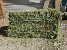 Alfalfa Hay 2 String Bale