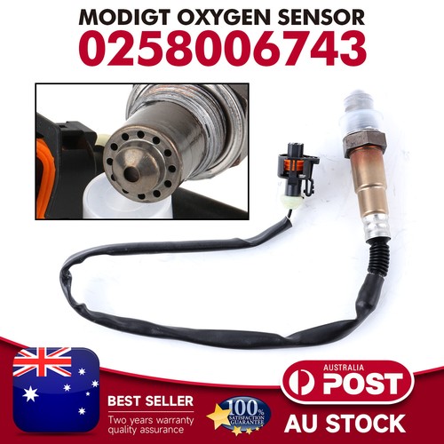 MODIGT OXYGEN SENSOR suits HOLDEN VZ VE COMMODORE V6 POST AU | eBay ...