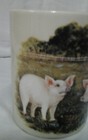 Bild 5 von 5
