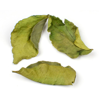 WHOLESALE!! Makrut Lime Leaves Dried Lime Leaves Whole Leaves