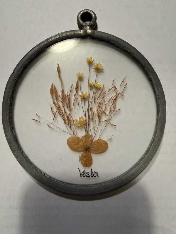 Vintage Pressed Flower Sun Catcher- Pewter Frame
