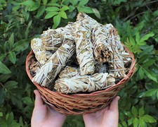 Black Sage Smudge Sticks 4 (Mugwort) - Choose...