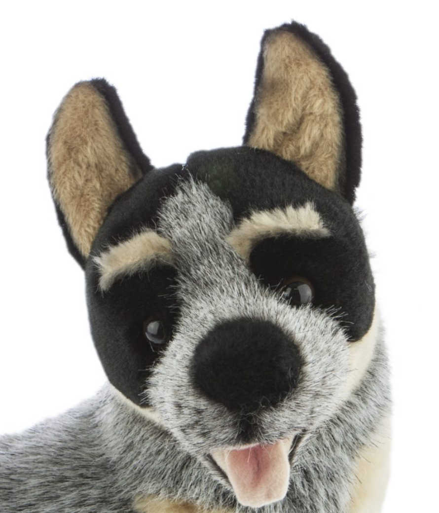 ~❤️~BOCCHETTA RUSTY Australian Cattle Dog Plush 31cm 12 Blue Heeler Soft Toy~❤️ - Foto 11