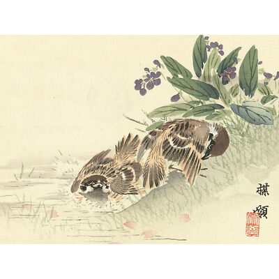 Kono Bairei Badender Baumsperling japanischer Holzschnitt großer Wandkunstdruck 18 x 24