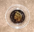 BLACK RUTHENIUM INDIAN HEAD CENT PENNY Coin 24K Gold Highlights 2-Sided with COA