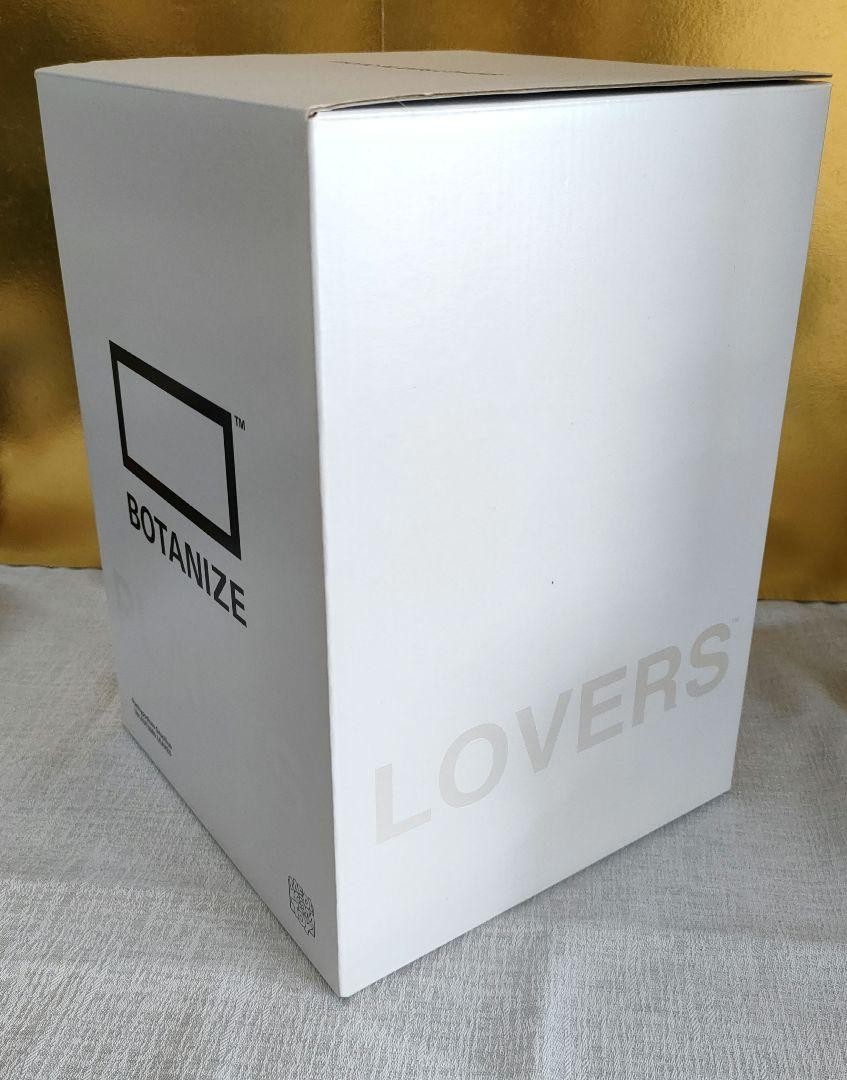 MEDICOM TOY - 最安 新品 Pachypodium 1LDK BOTANIZE MEDICOM Medicom Toy Botanize Pachypodium Gracilius Autumn Leaves
