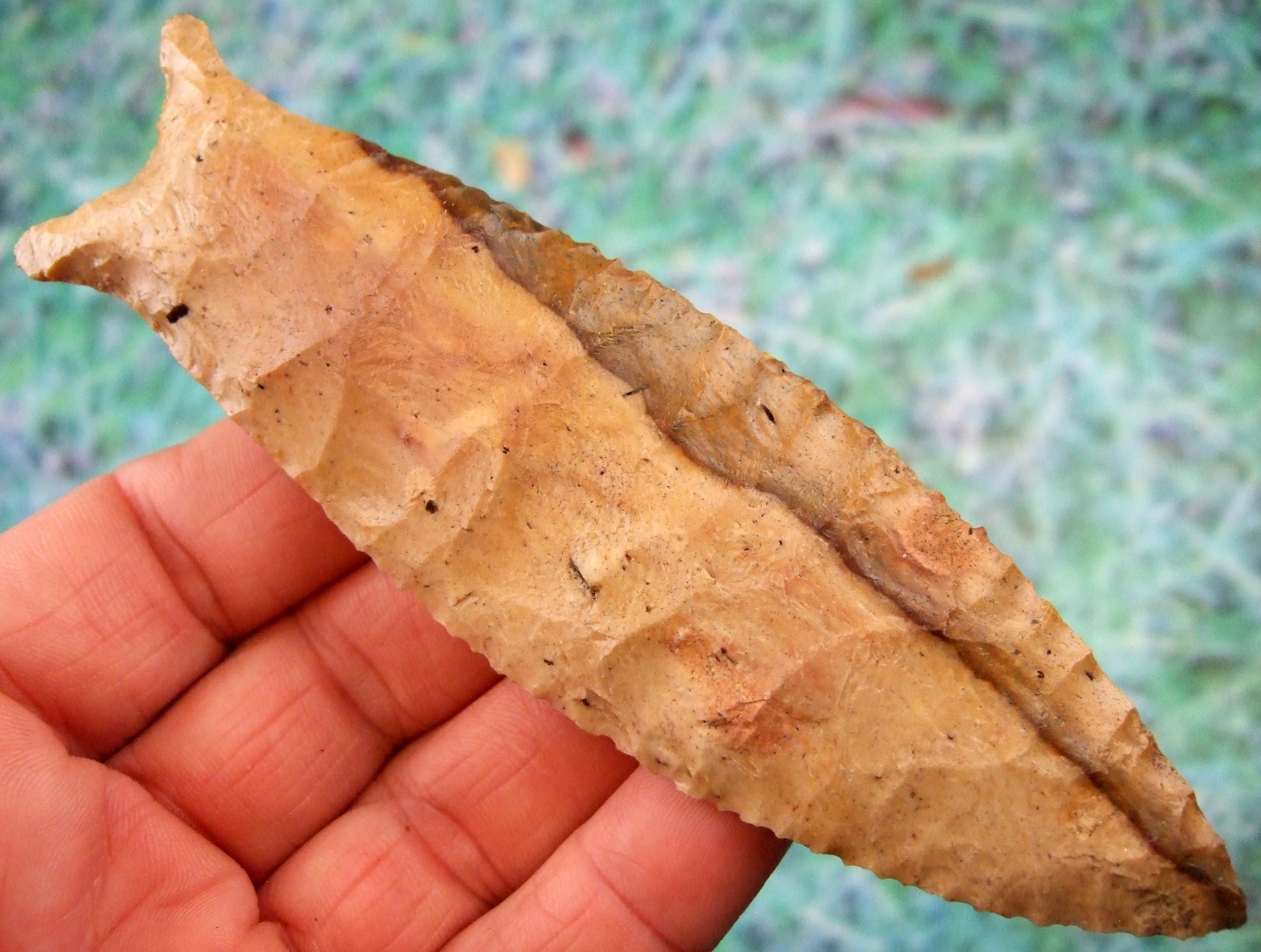 Super Fine 5 3/8 inch Florida Coastal Flint Beaver Lake Point wt COA ...