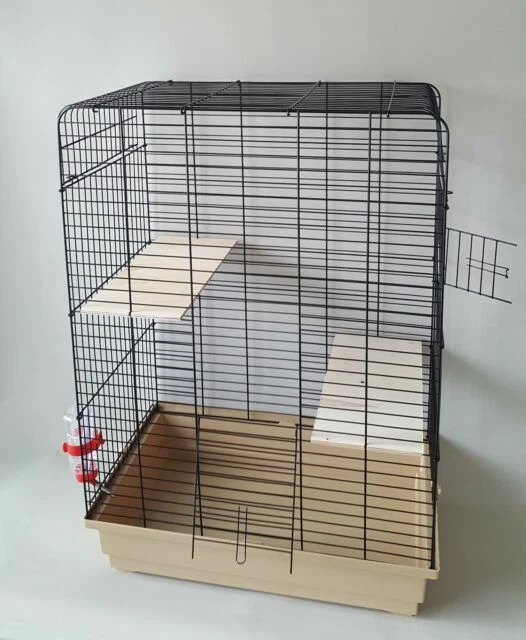 Dwarf Hamster Small Animal Supplies