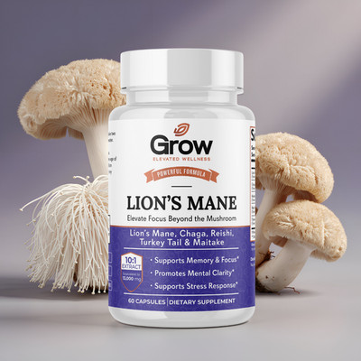Lion's Mane Dynamic Brain Supplement - For Enhanced Memory and Focus