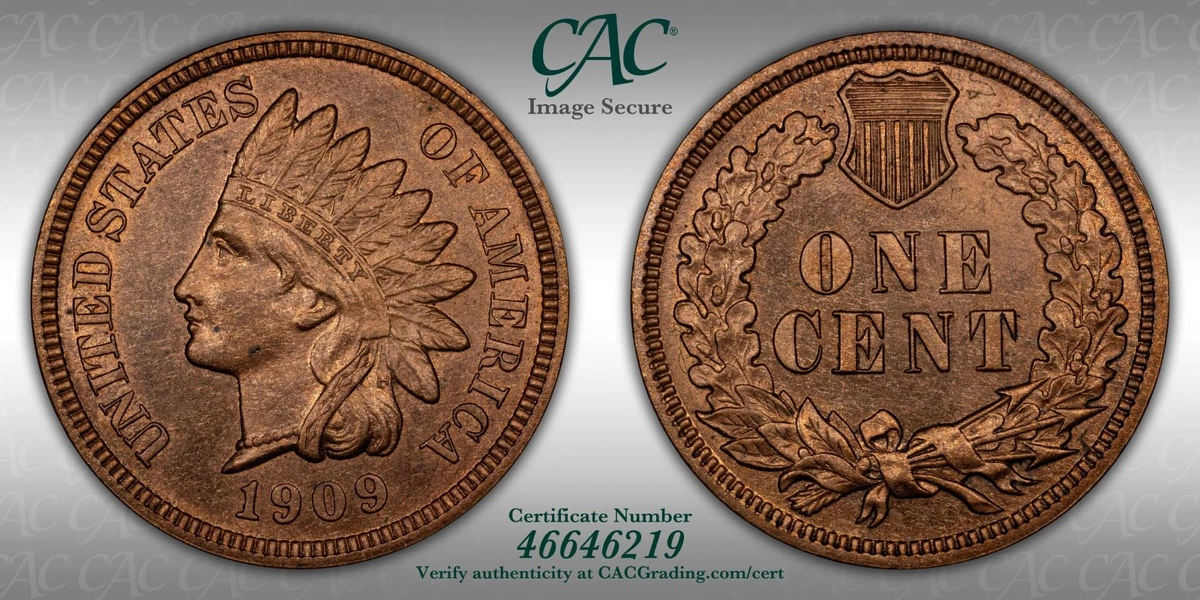 1909 Year Indian Head Small Cents (1859-1909) for sale | eBay